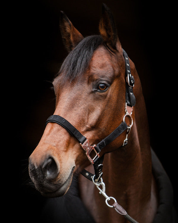 Fager Smart Halter